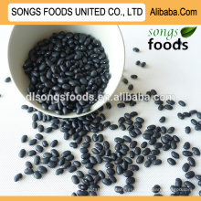 Frijoles enlatados negros pequeños chinos